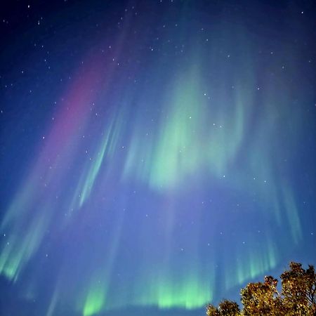 Cosy Tromso Apartment ภายนอก รูปภาพ